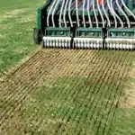 Seeding a lawn